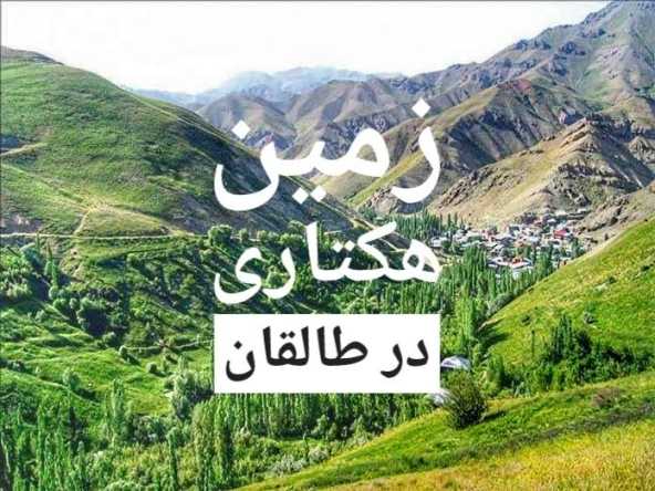 املاک 7