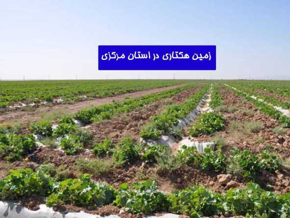 املاک 7