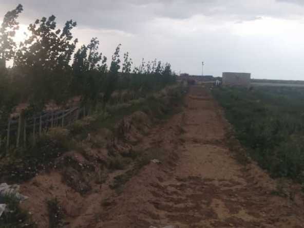فروش زمین کشاورزی هکتاری بویین زهرا(باغ پسته)